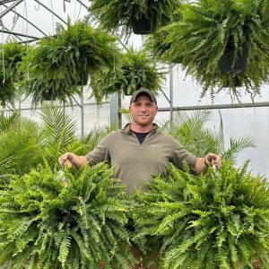 debe3482e8946a47e3e4fc90ce804510b6969d5f-600.jpg 🔥Autumn Celebration Exclusive! 🌿Get the UV-Resistant Lifelike Artificial Boston Fern for Just $9.98 🎁 SAVE 75%!